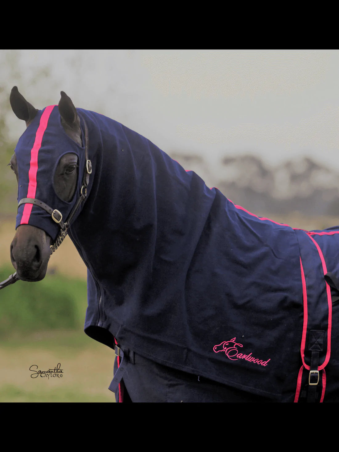 Earlwood Navy Cotton Show Rug (Rug & Tail Bag only) - NAVY/ PINK