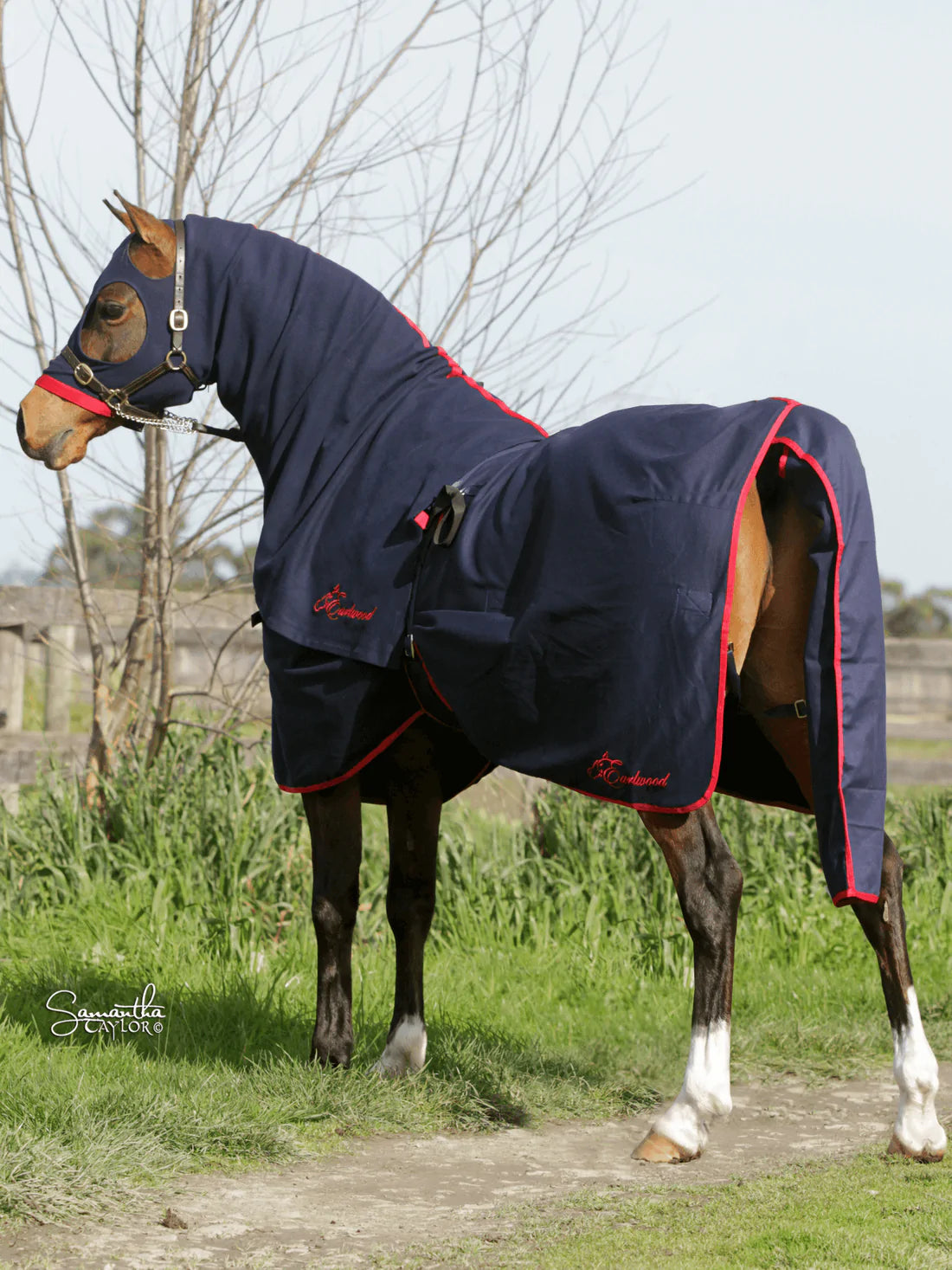 Earlwood Navy Cotton Show Rug (Rug & Tail Bag only) - NAVY/ PINK