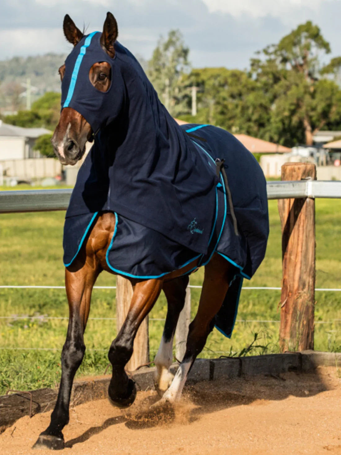 Earlwood Navy Cotton Show Rug (Rug & Tail Bag only) - NAVY/ELECTRIC BLUE